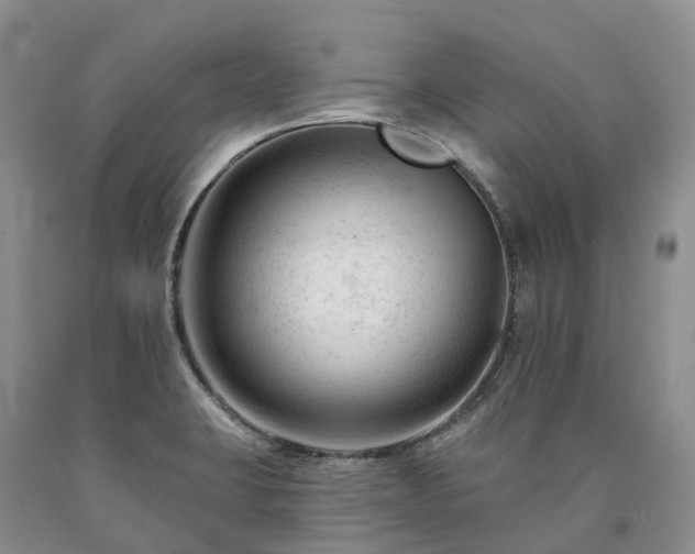 X0000090481423200707201406