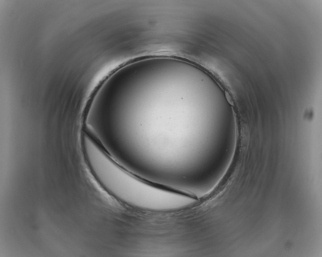 X0000090481424200707201406