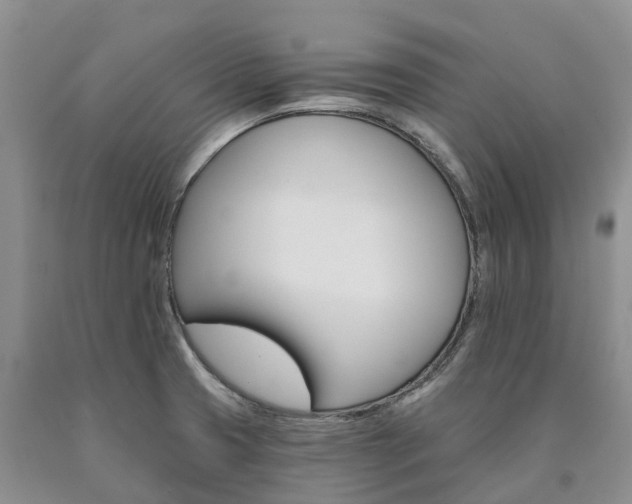X0000090481425200707201406