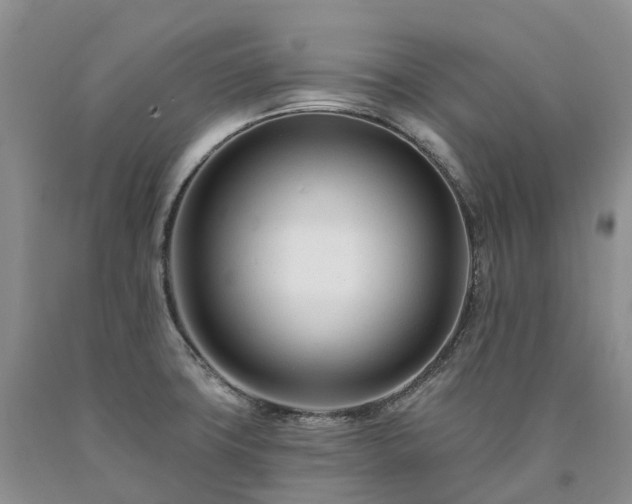 X0000090481427200707201406