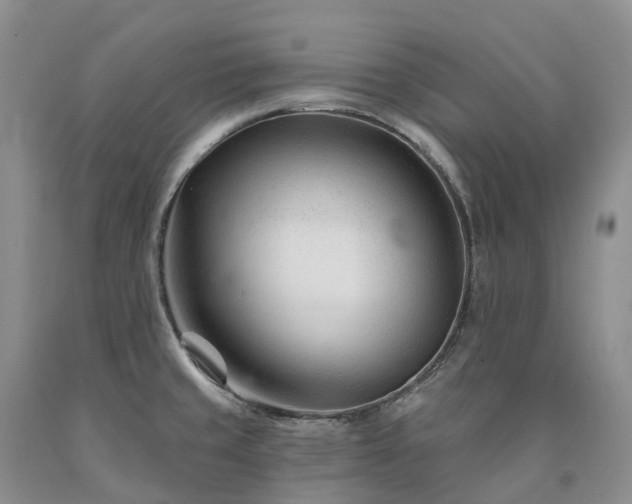 X0000090481429200707201406