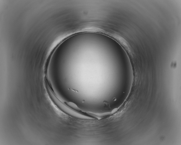 X0000090481430200707201406