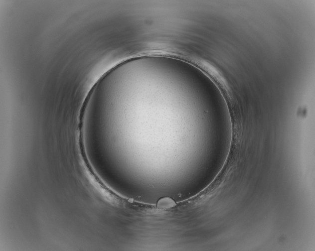 X0000090481431200707201406