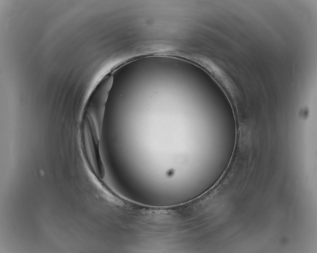 X0000090481432200707201406
