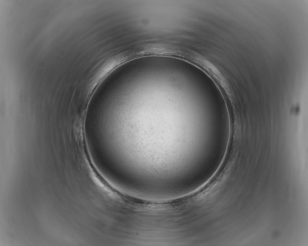 X0000090481433200707201406