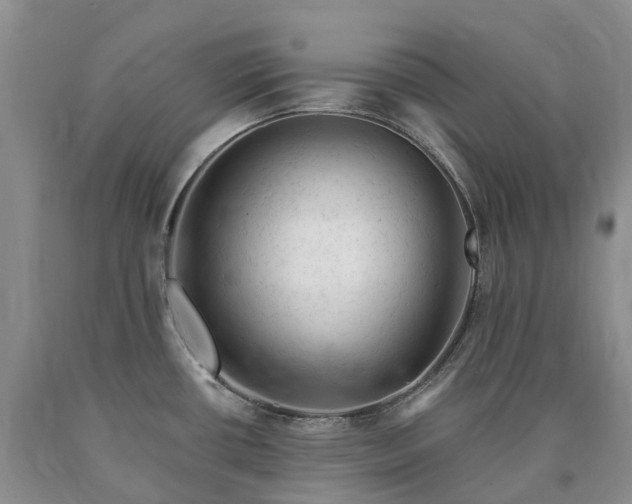 X0000090481434200707201406