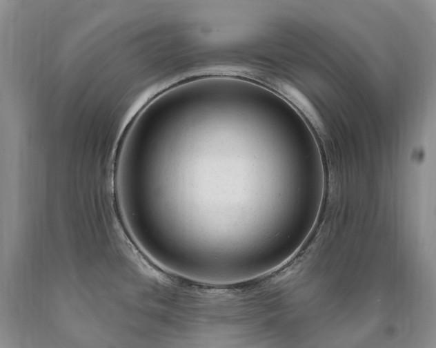 X0000090481436200707201406