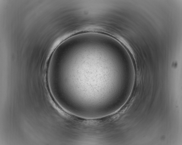 X0000090481437200707201406