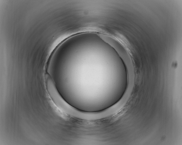 X0000090481438200707201406