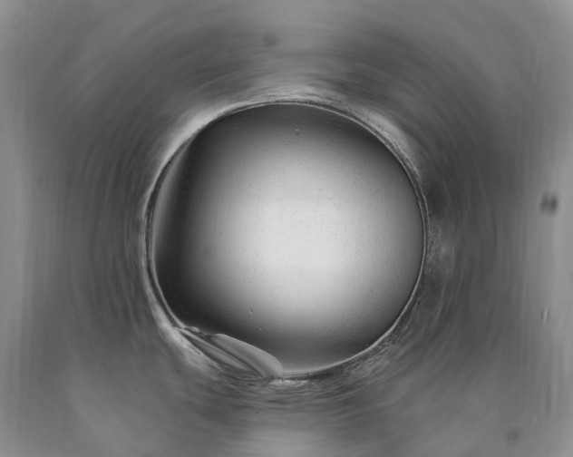 X0000090481439200707201406