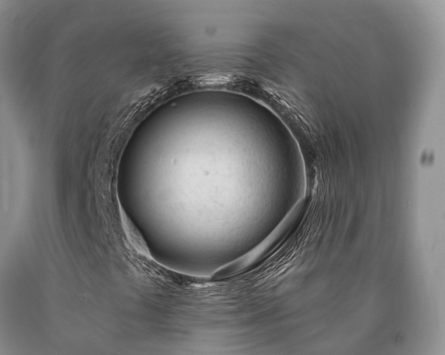 X0000090481441200707201405