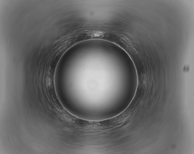 X0000090481442200707201405