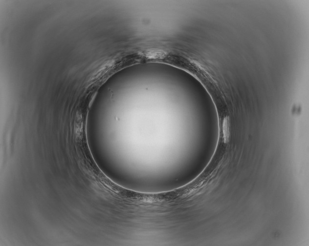 X0000090481443200707201405
