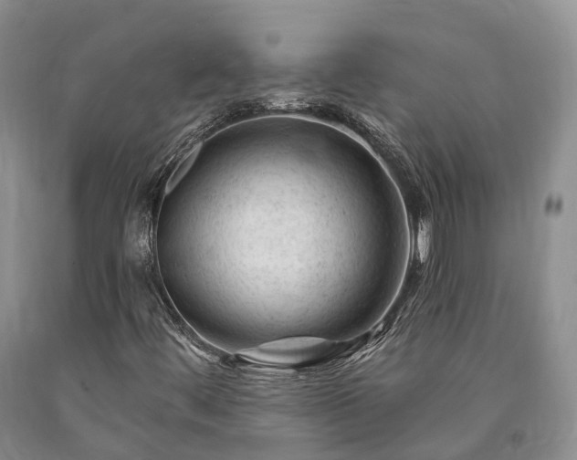 X0000090481444200707201405