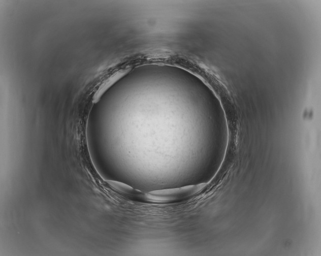 X0000090481445200707201405