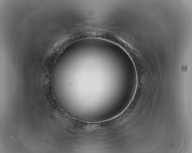 X0000090481447200707201405