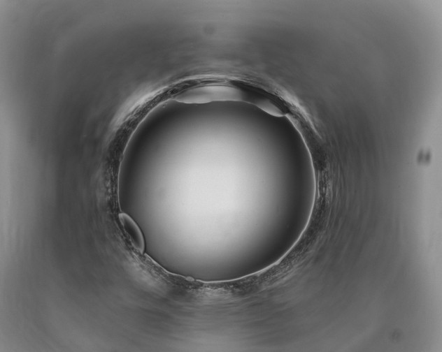 X0000090481448200707201405