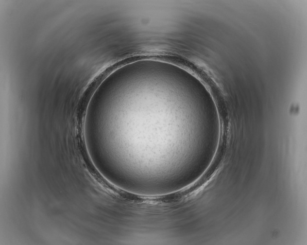 X0000090481449200707201405