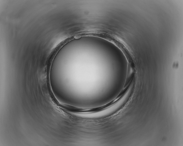 X0000090481450200707201405