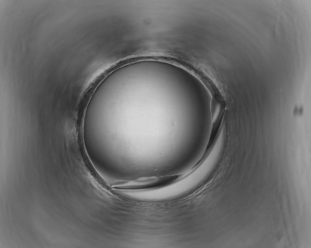 X0000090481452200707201405