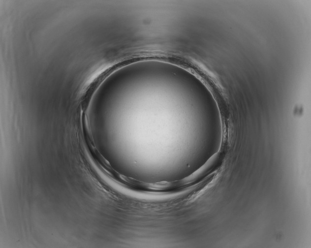 X0000090481453200707201405