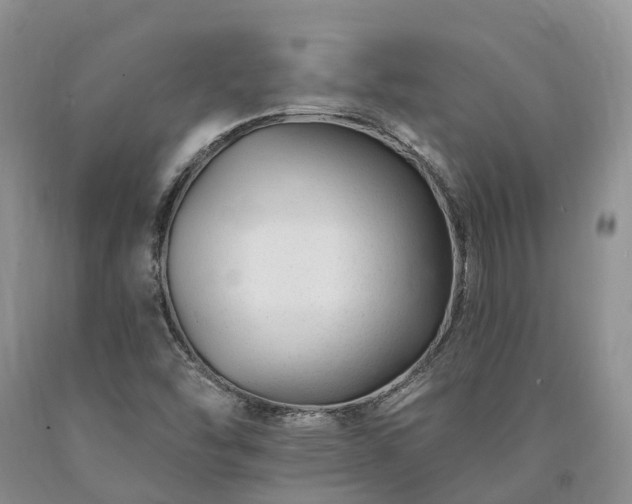X0000090481454200707201405