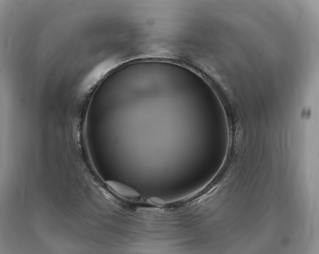 X0000090481455200707201405