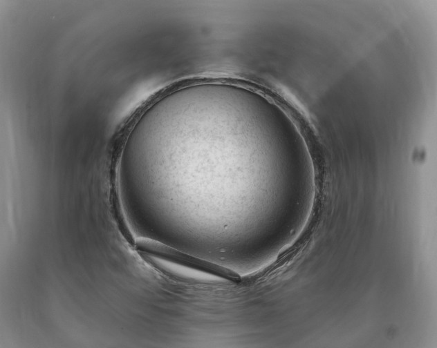 X0000090481456200707201405