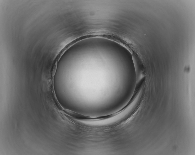 X0000090481457200707201405