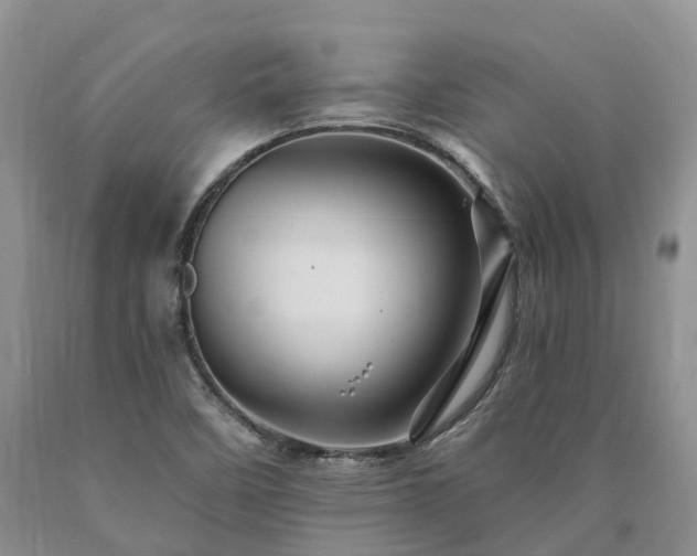 X0000090481458200707201405
