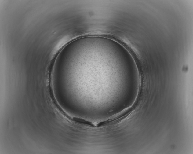 X0000090481459200707201405
