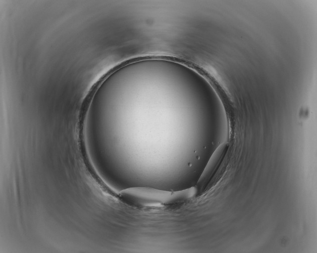 X0000090481460200707201405
