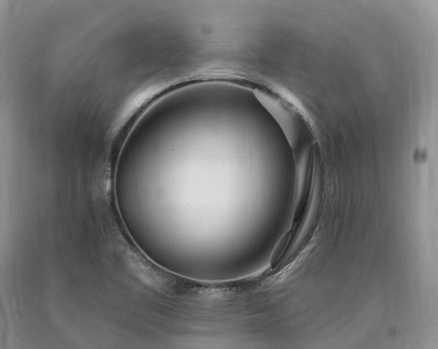 X0000090481461200707201405