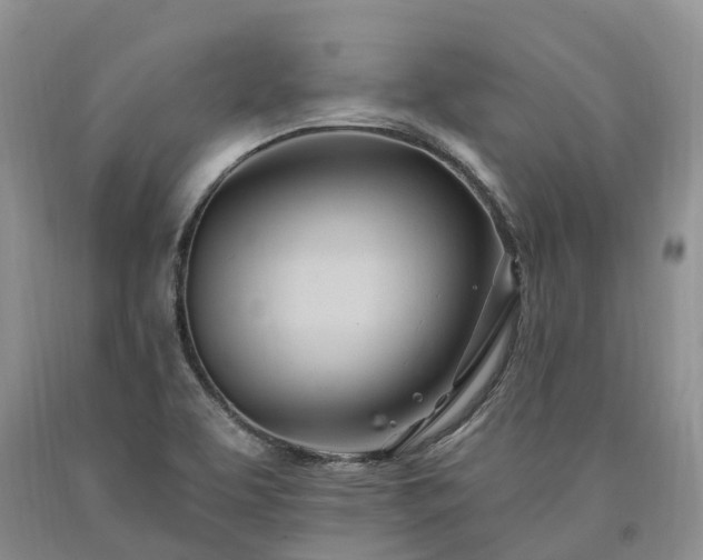 X0000090481463200707201405