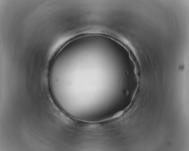 X0000090481464200707201405