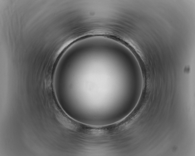 X0000090481465200707201405