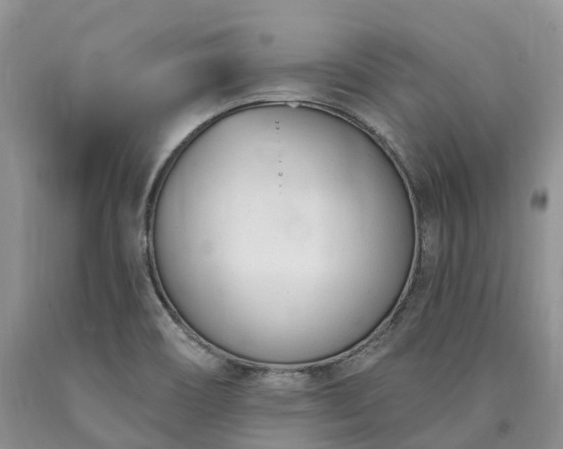 X0000090481466200707201405
