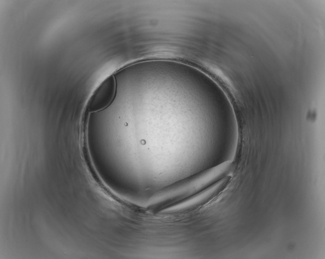 X0000090481467200707201405