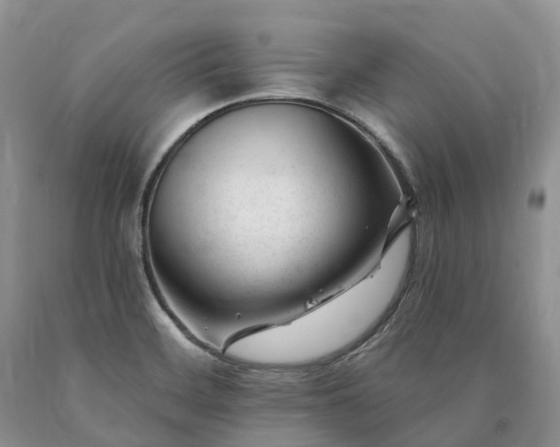 X0000090481468200707201405