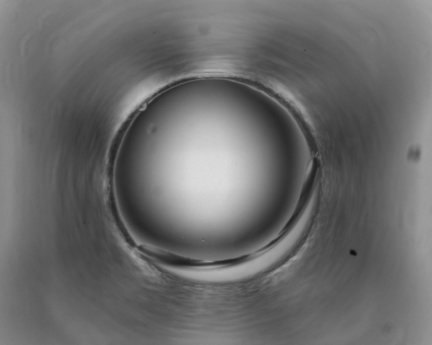 X0000090481469200707201405
