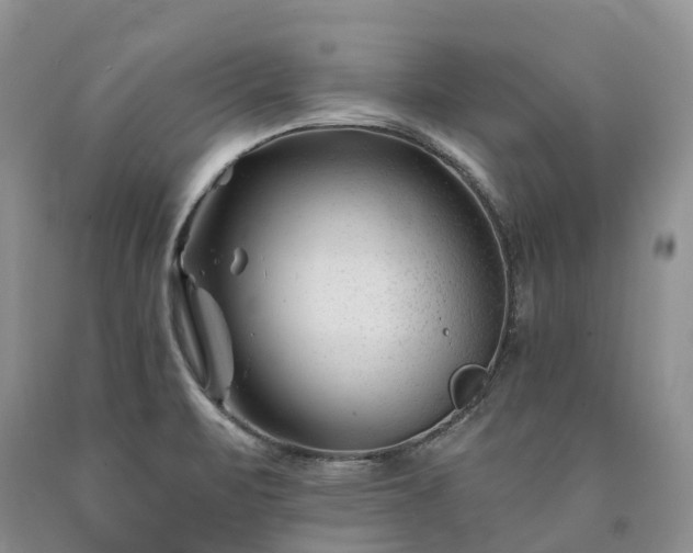X0000090481471200707201405