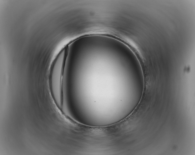 X0000090481472200707201405