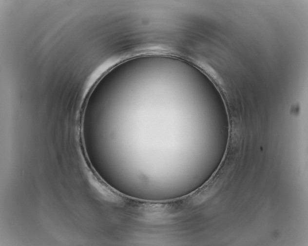 X0000090481474200707201405