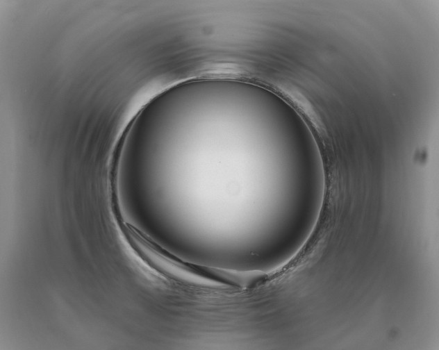 X0000090481475200707201405