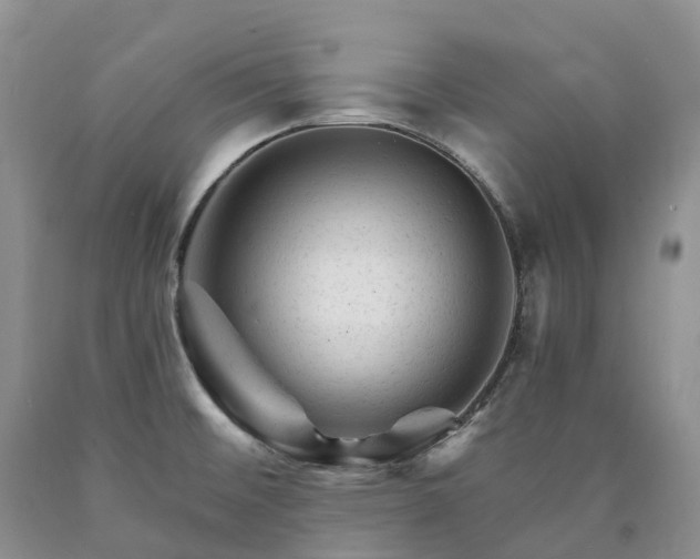 X0000090481476200707201405