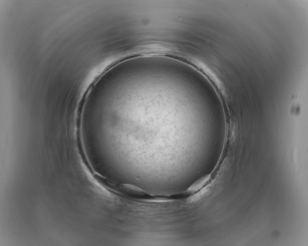 X0000090481477200707201405