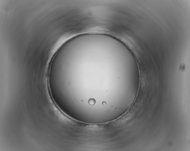 X0000090481478200707201405