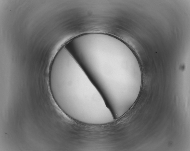 X0000090481480200707201405