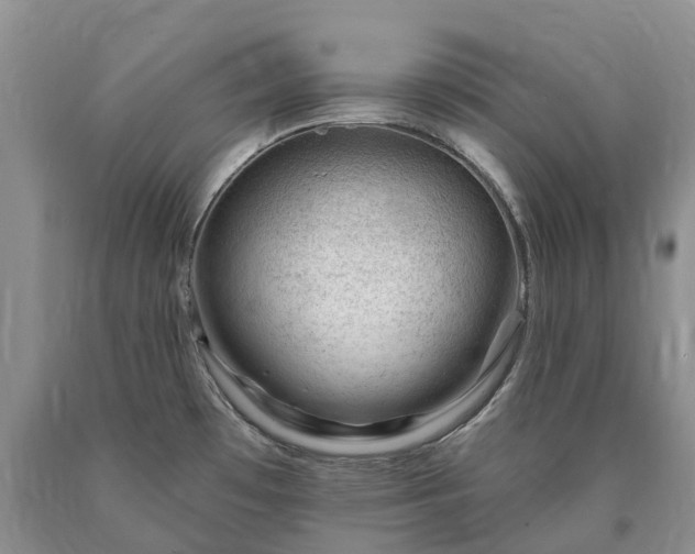 X0000090481481200707201405