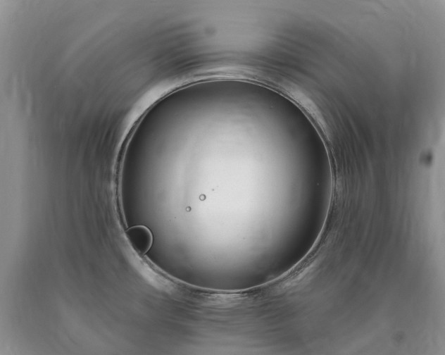 X0000090481482200707201405